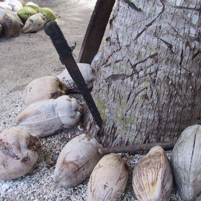 Polinesia-Rangiroa-Archipels-056