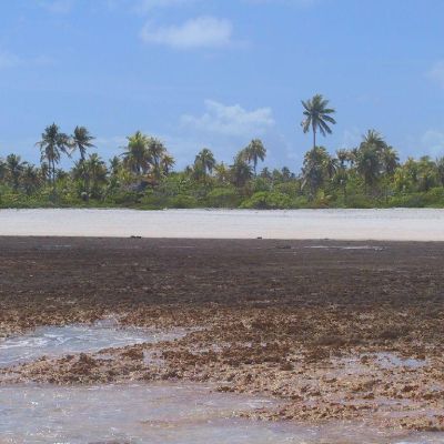 Polinesia-Rangiroa-Archipels-073