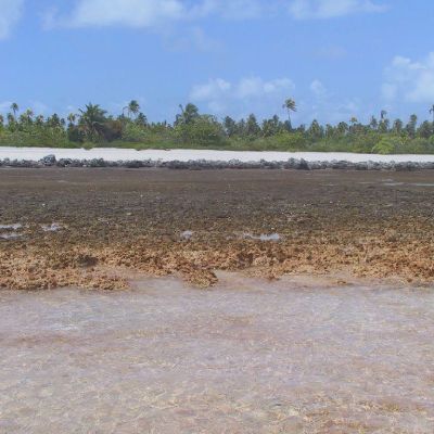 Polinesia-Rangiroa-Archipels-074