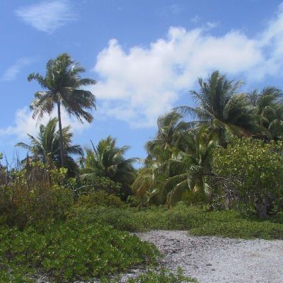 Polinesia-Rangiroa-Archipels-076