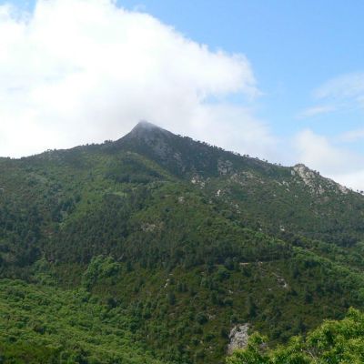 Elba-Monte-Capanne-003