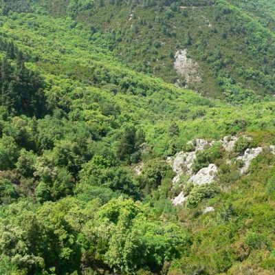 Elba-Monte-Capanne-005