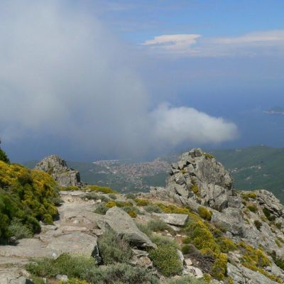 Elba-Monte-Capanne-025