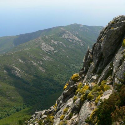 Elba-Monte-Capanne-033