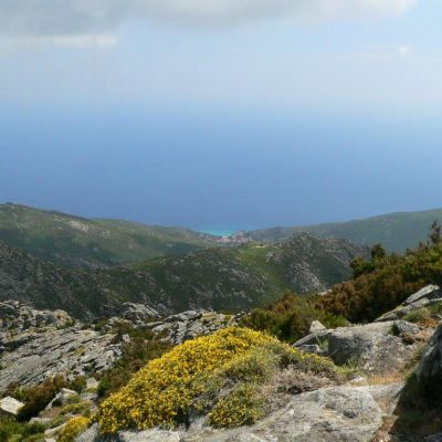 Elba-Monte-Capanne-040