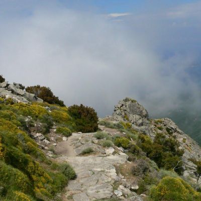 Elba-Monte-Capanne-041