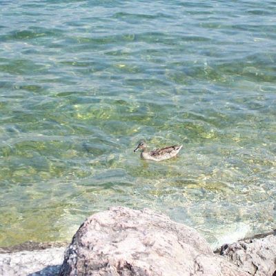 Lago di garda-022