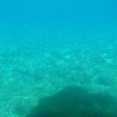 ELBA - Pomonte-004
