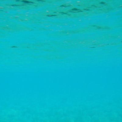 ELBA - Pomonte-005