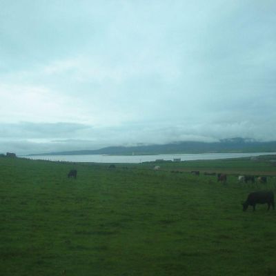 Scozia-Orcadi-022