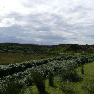 Scozia -Strada da Thurso a Scourie-006