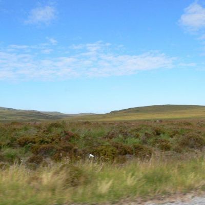 Scozia -Strada da Thurso a Scourie-024