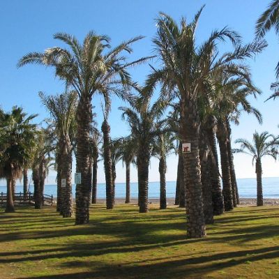Spagna-Torremolinos-029