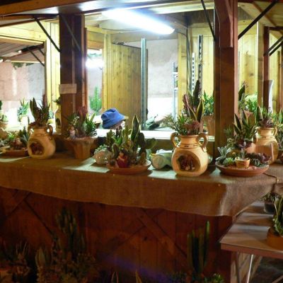 Mercatini di Natale Arco e Trento-027