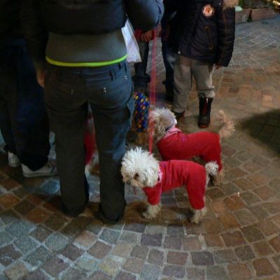 Mercatini di Natale Arco e Trento-057